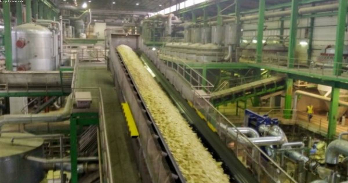 Govt comes out with guidelines for ethanol production from sugar, grain-based feedstock